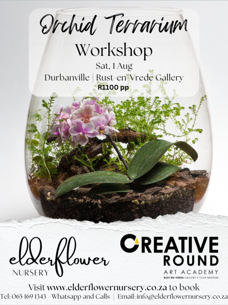 Creative Round Orchid Terrarium Workshop